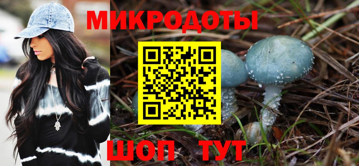 Псилоцибиновые грибы Magic Shrooms Великий Новгород