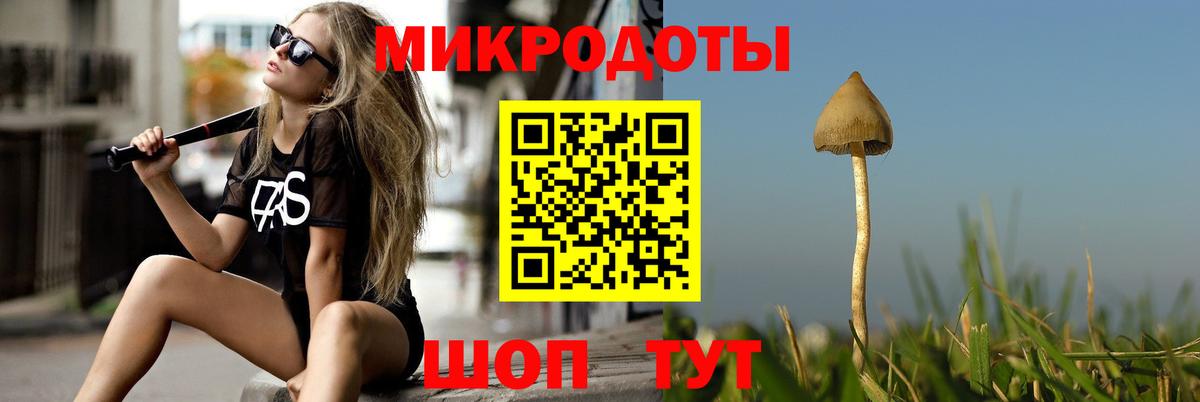 Галлюциногенные грибы MAGIC MUSHROOMS  Вход с VPN  купить   Великий Новгород  Галлюциногенные грибы GOLDEN TEACHER 